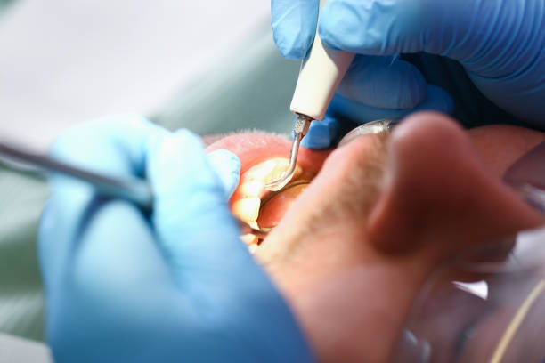 Best Pediatric Emergency Dentist in Five Points, FL