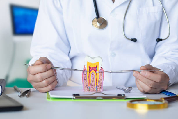 Best Emergency Dentist for Lost Fillings or Crowns in Five Points, FL